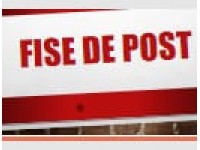 Fisa de post contabil sef