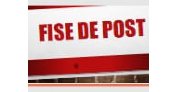 Fișa de Post Asistent Manager (model gratuit, editabil) | TheExperts.ro