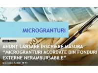 Microgranturi din fonduri externe nerambursabile