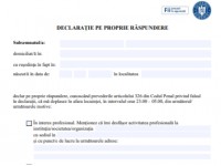 Declarație pe propria răspundere noiembrie 2020 pdf online