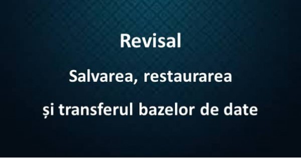 Revisal - salvare / restaurare / transfer baze de date | TheExperts.ro